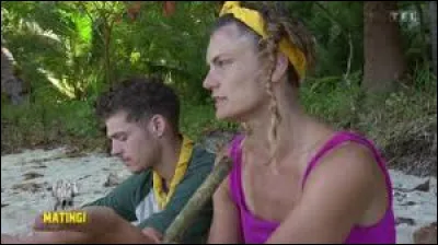 Quel élément de décoration les jaunes avaient-ils ?