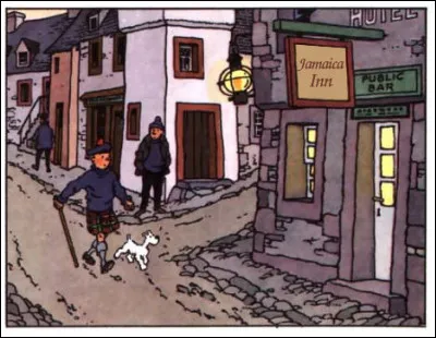 Dans un film très noir - même s'il y a aussi du blanc - décrit les coupables agissements de naufrageurs cornouaillais. Quel est ce titre ?