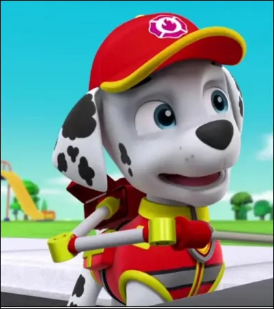 Comment s'appelle ce chien ?