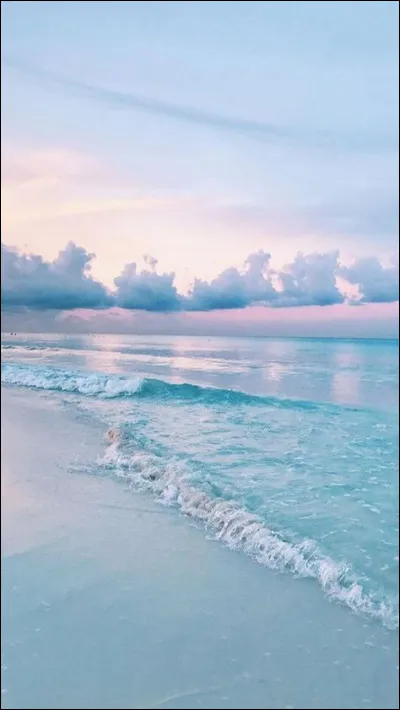 De quel roi Sébastien Le Prestre de Vauban était-il le Premier ministre ?