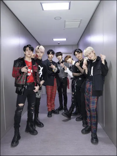 Comment te décrirais-tu ?