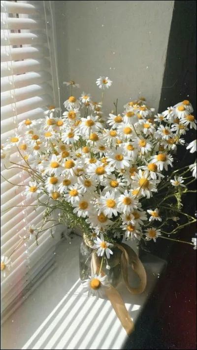 En quelle année la chanteuse Rose est-elle née ?