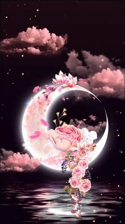 Dans quelle ville française trouve-t-on le quartier de La Rose ?