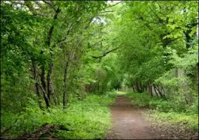 Quelle est ta saison pr&eacute;f&eacute;r&eacute;e ?