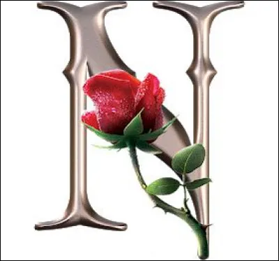 Nombrilisme : de quoi est atteint celui qui fait du nombrilisme ?