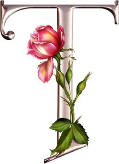 Top Gun : qui est l'acteur principal de ce film ?