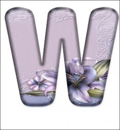 Wapiti : quel est cet animal ?