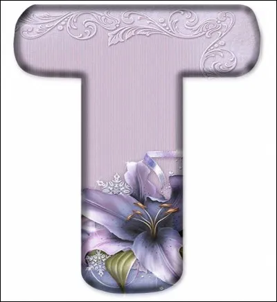 Trapèze : dans quelle partie du corps, est situé ce muscle ?