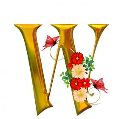 Wagner : dans quel dessin animé ou bande dessinée rencontre-t-on un personnage nommé Wagner ?