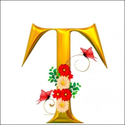 Taka : où la monnaie officielle est-elle le taka ?