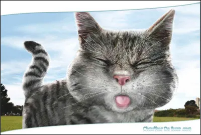 Imagine. Tu es dans la rue avec ta classe pour aller au cin&eacute;ma quand la peste de la classe commence &agrave; t'insulter.Quelle est ta r&eacute;action ?