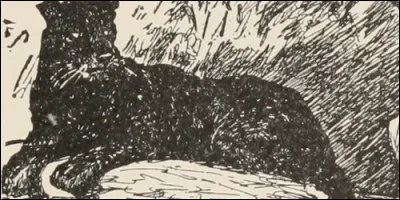 Comment s'appelle la panthère dans "Le Livre de la jungle" de Rudyard Kipling ?