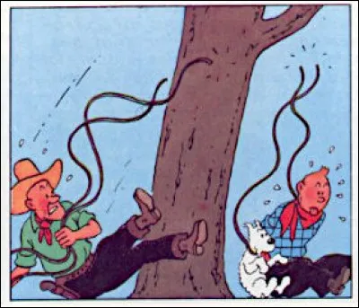 Huit-clos autour d'un meurtre, accompli par deux étudiants afin de mettre en pratique la théorie nietzschéenne d'un de leur professeur. Quel est le titre de ce film avec James Steward ?