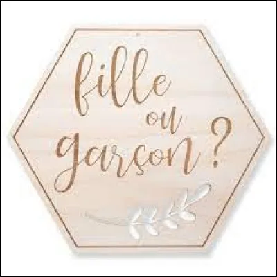 Es-tu une fille ou un garçon ?