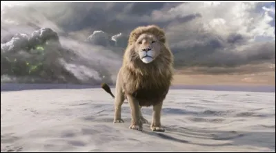 Comment sappelle le lion ?