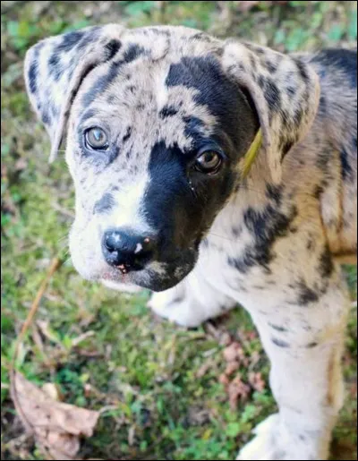 Quel nom te conviendrait le mieux ?