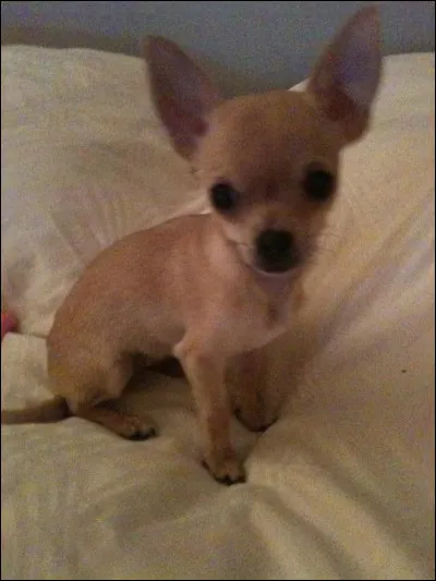 Comment tes amis te décriraient-ils ?