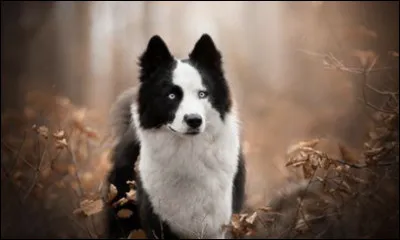 Quel est ton autre plus grand défaut ?