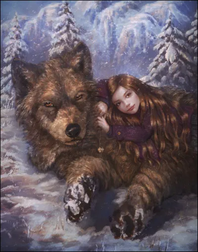 Quel film ce loup et cette petite fille représentent-ils ?