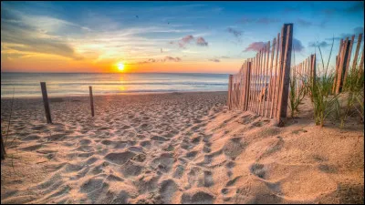 Vous allez faire une soirée sur la plage, que faites-vous ?