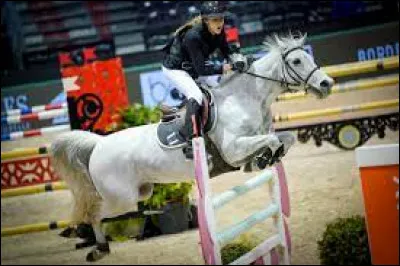 En CSO, le Poney Élite correspond à...