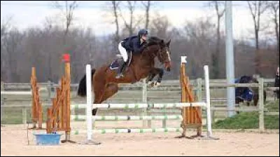 De quel Galop faut-il être muni pour concourir en Club 1 ?