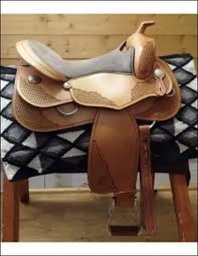 Pour quelle discipline ce type de selle est-il utilisé ?
