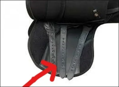 Comment s'appelle cette partie de la selle ?