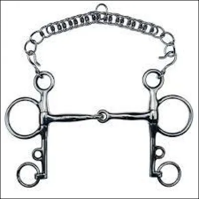 De quel mors s'agit-il ?