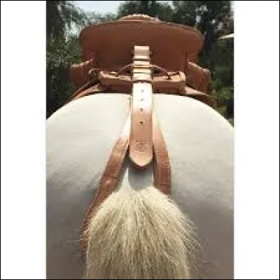 Quel est le nom de ce matériel ?