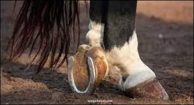 Le fer se pose pour...