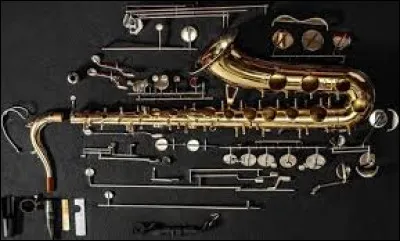 De quelle famille d'instrument le saxophone fait-il partie ?