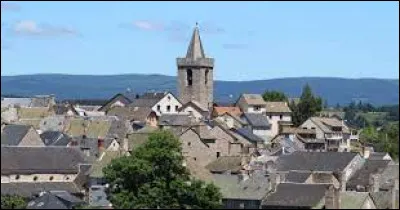 Saint-Chély-d'Apcher et Langogne sont des villes du département :