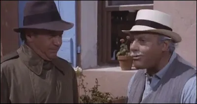 Pour le docteur Galipeau (Galabru) son patient, le sexagénaire Louis Martinet (Michel Serrault), n'a plus que deux ans à vivre et lui acheter en viager sa maison de Saint-Tropez est une affaire en or ... : qui réalise "le Viager" ?