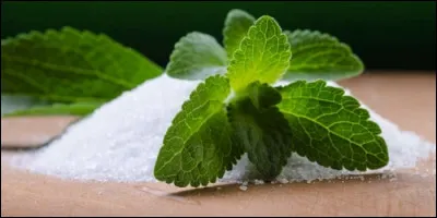 Quelle plante dAmérique du Sud possède un fort pouvoir sucrant et sans effet sur le taux de glucose dans le sang ?