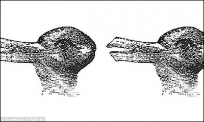 Que voit-on sur l'image ?