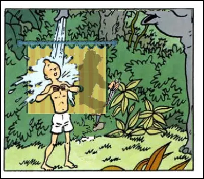 Un film angoissant avec, comme acteurs principaux, un rideau de douche bon marché et Anthony Perkins. Quel est ce célèbre titre ?