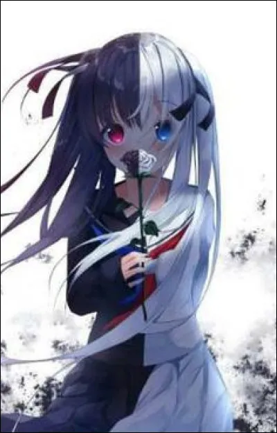 Quel est ton anime préféré ?