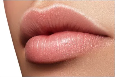 Comment on dit ''bouche'' ?