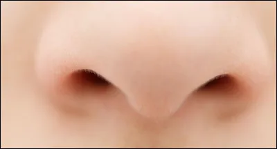 Comment on dit ''nez'' ?