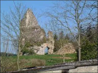 Je vous propose de rester en Normandie et de partir à la découverte des ruines du château de Bonsmoulins. Village de l'arrondissement de Mortagne-au-Perche, il se situe dans le département ...