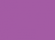 Quiz Les couleurs : violet