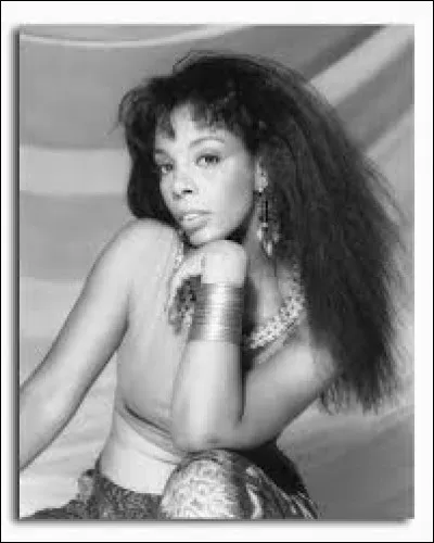 À quelle chanteuse doit-on la chanson "I Feel Love" ?