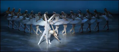 Comment s'appelle le pack où il y a des serviteurs et des majordomes ?