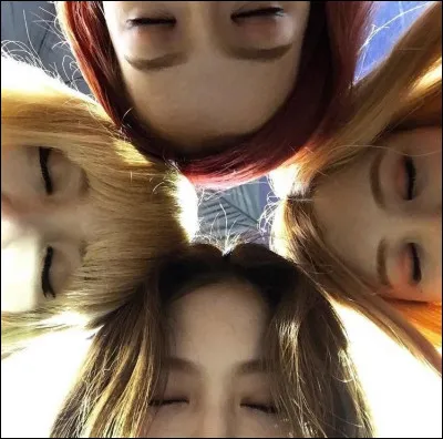 Si tu étais dans un groupe de k-pop, tu serais :