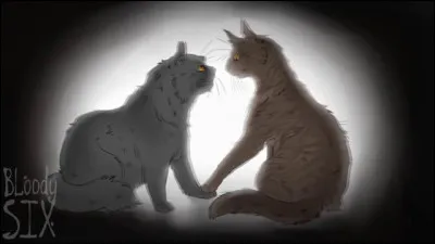 Tu finis par accepter de rejoindre son clan et tu deviens apprentie, là-bas, sous le nom de :