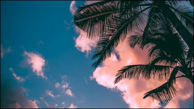 Qui sont les 2 membres qui ont vécu ou qui sont nés en Australie ?