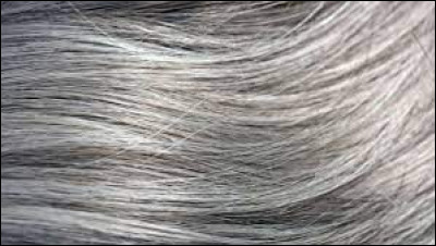 Quel acide aminé est à l'origine de la couleur des cheveux ?