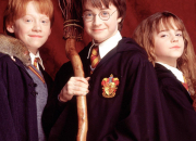 Test Le plus grand test Harry Potter de tous les temps !
