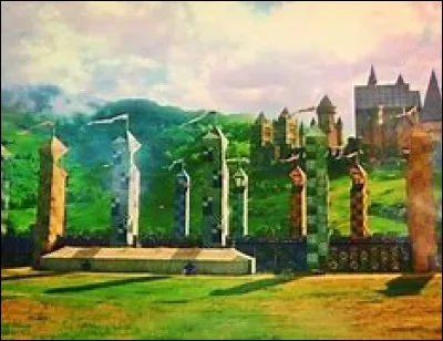 Joues-tu au Quidditch ?